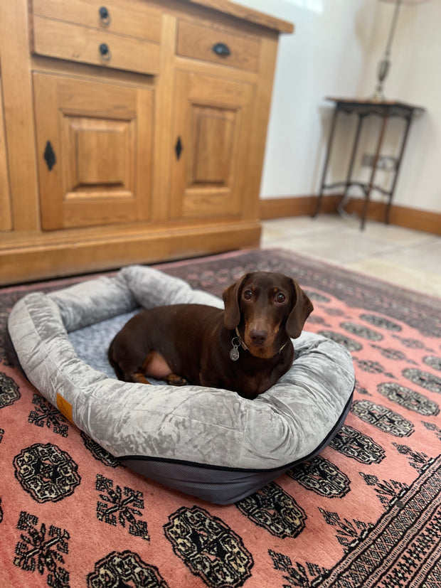 Petsio Memory Foam Dog Bed